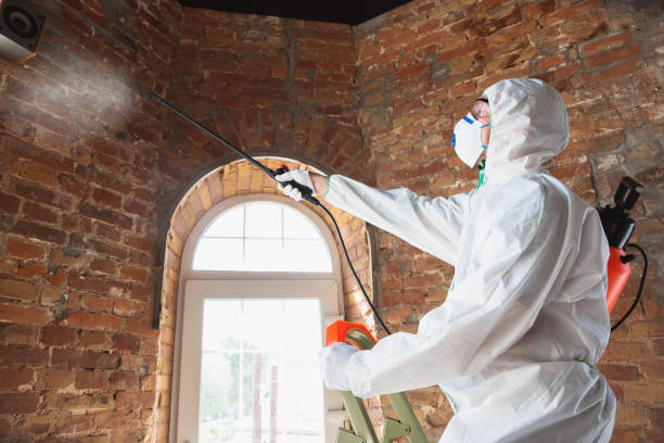 Best Mold Remediation for Healthcare Facilities in USA